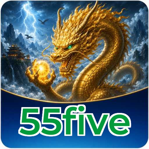 55five Technical Info
